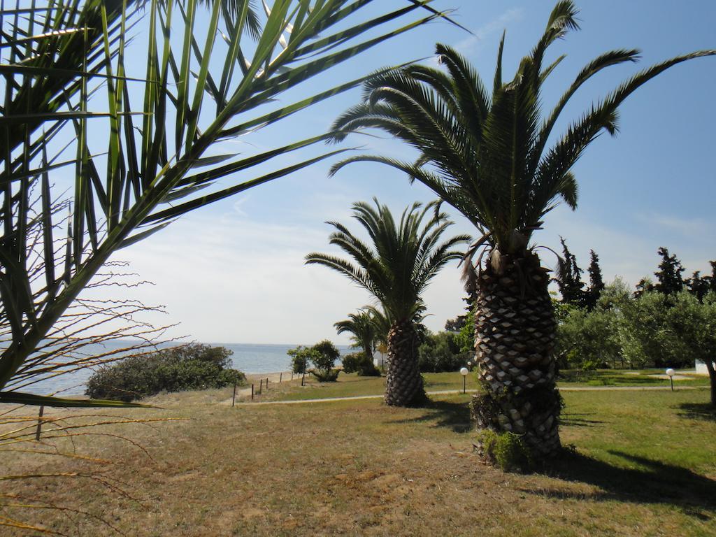 גראקיני Afroditi Beach מראה חיצוני תמונה